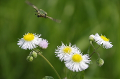 おっいい匂い！