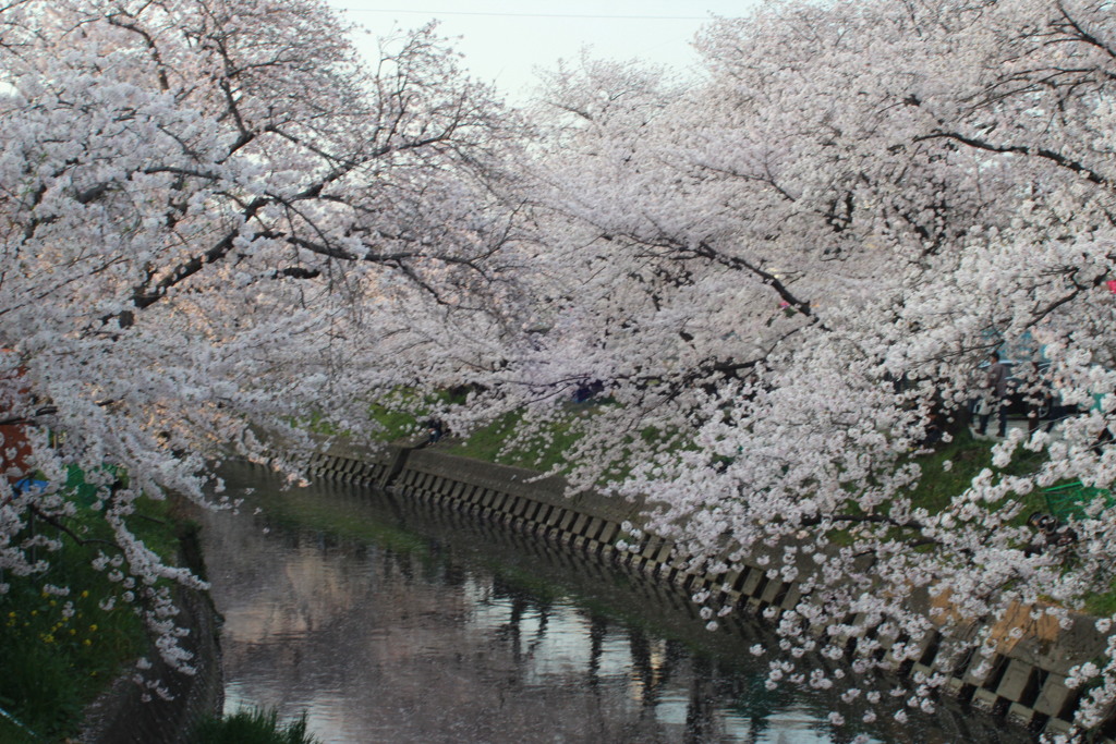 日本の風景