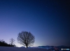 _DSC1618170216-2