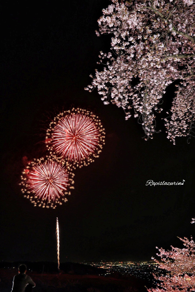 夜空の華たち