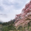 靄の中の木花咲耶姫。