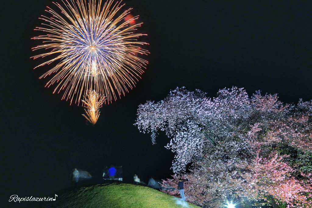 夜空の華たちII