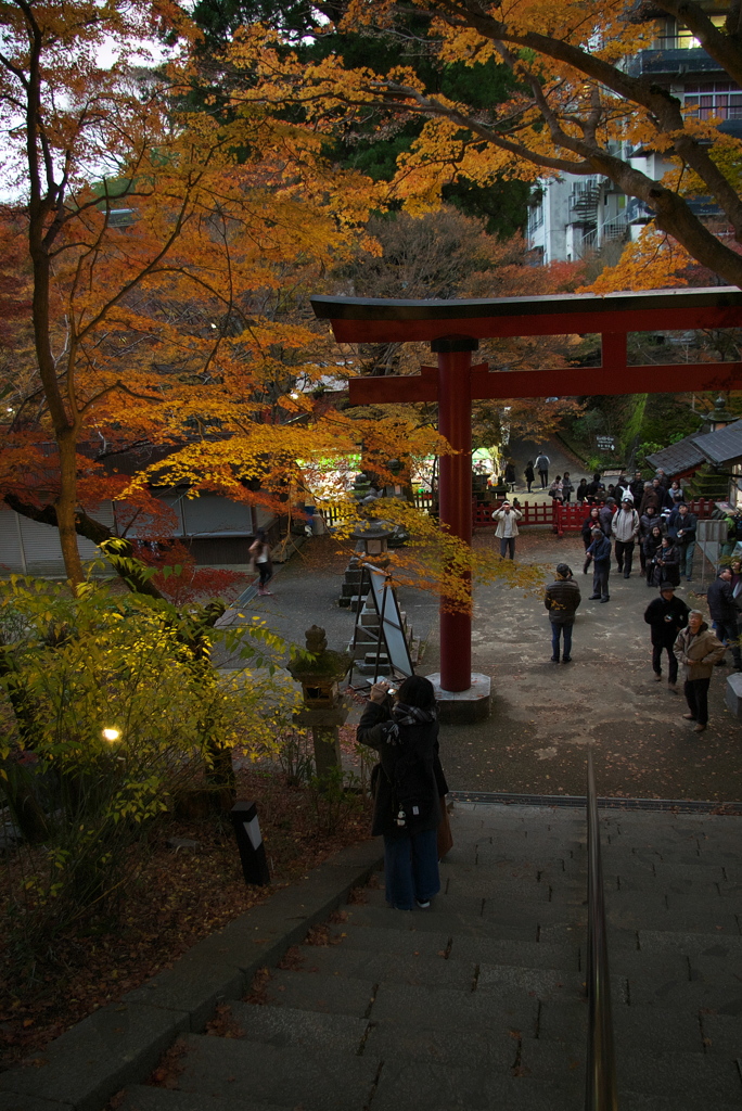 談山神社ライトアップ1