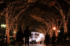 【梅田～淀屋橋 夜景】土佐堀川沿いの舗道