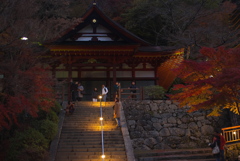 談山神社ライトアップ2