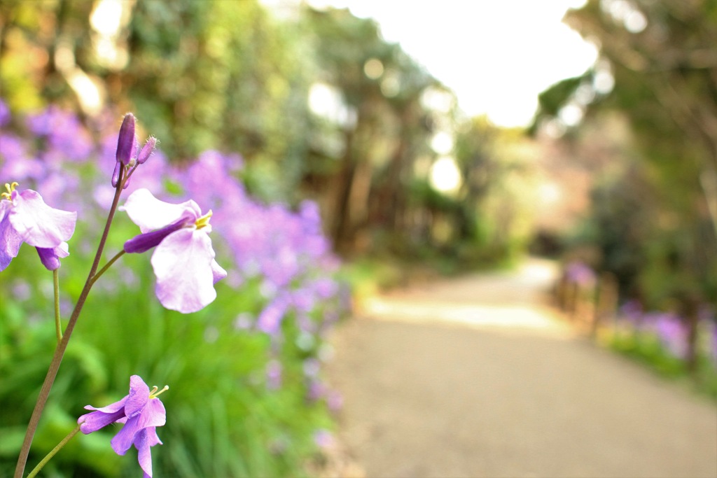 気づかなかった地元の良さ
