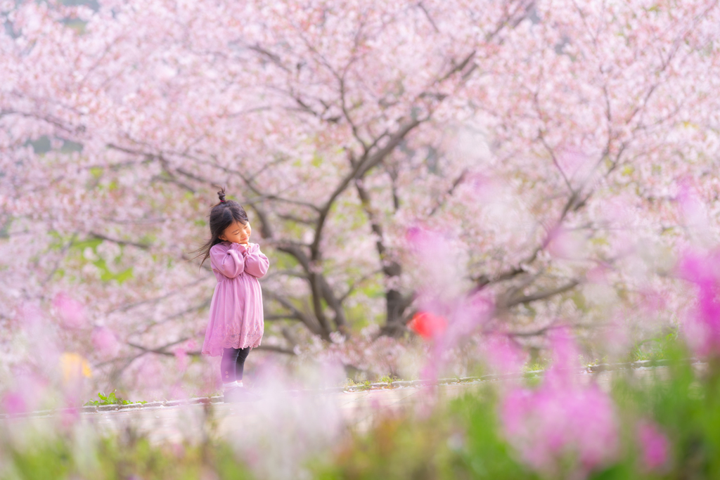 花に願いを