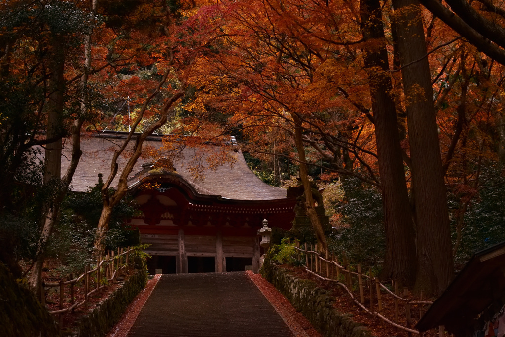 鰐淵寺