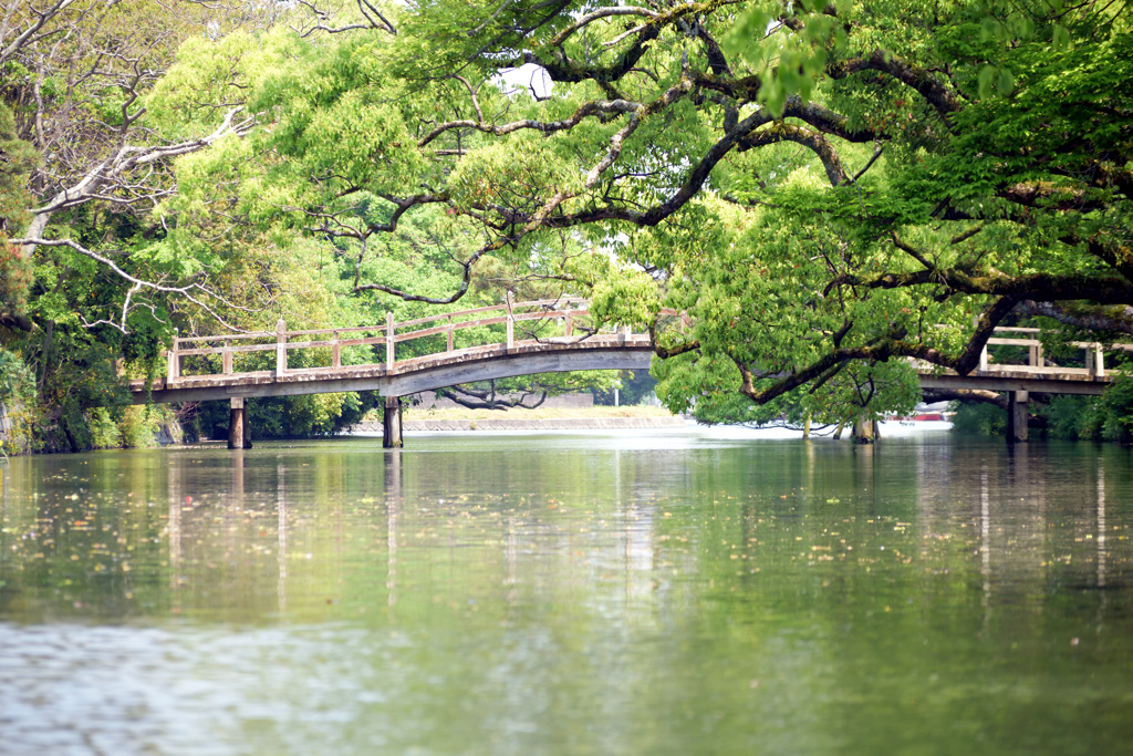 柳川の川下り③