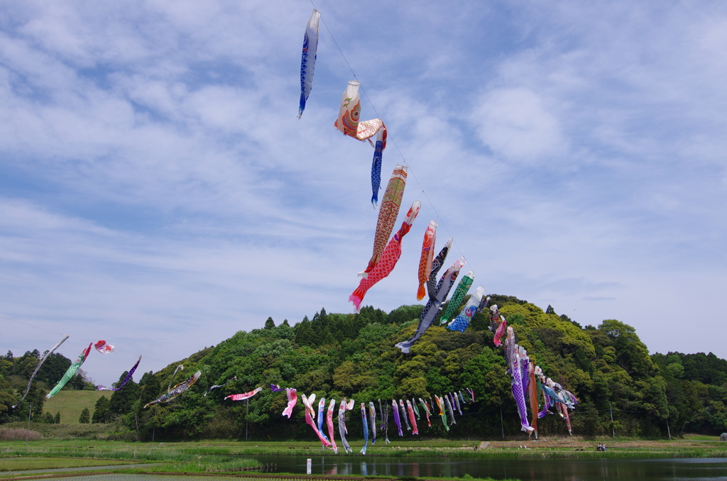 屋根よーりーたーかーい
