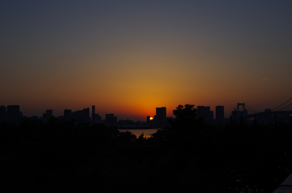 ついに撮れた、夕陽