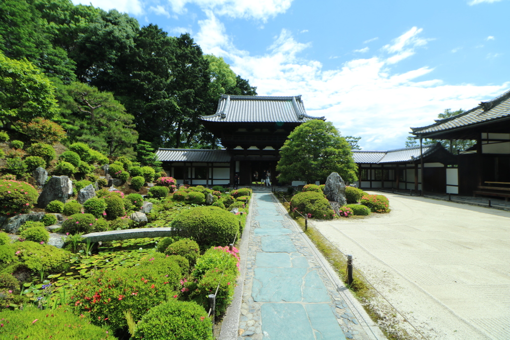 初夏の東福寺