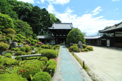 初夏の東福寺