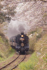 春から夏へ・・・
