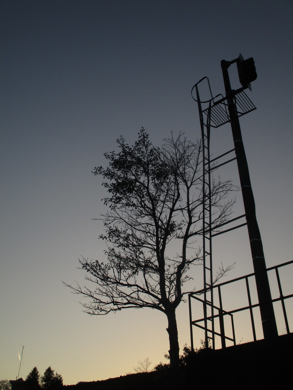 夕暮れの信号