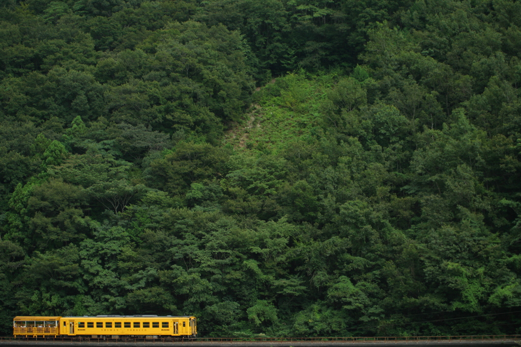 大自然の中を行くトロッコ列車