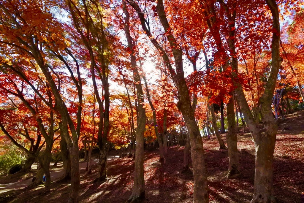整列