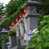 向徳寺①