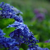 梅雨の始まり