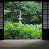 紫陽花の庭
