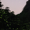 蠢く星々