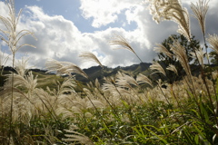 砥峰高原①