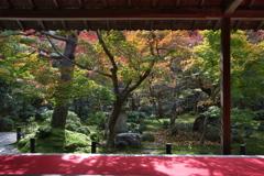 京都紅葉圓光寺