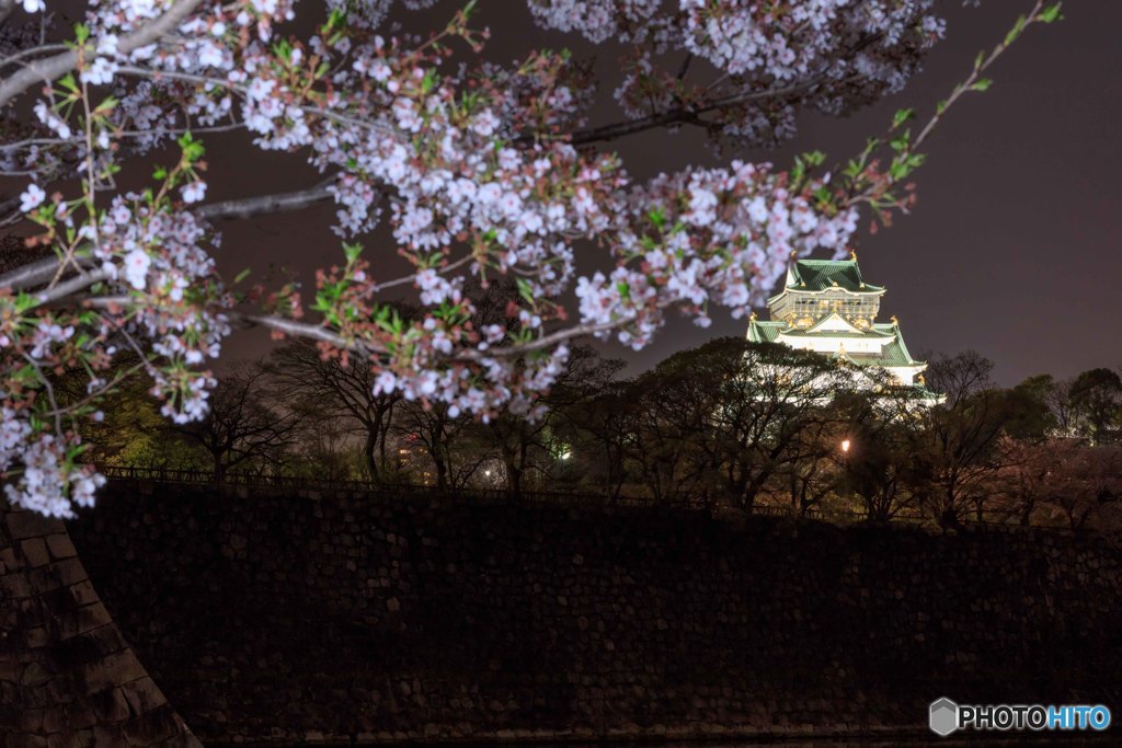 夜桜 × 大阪城