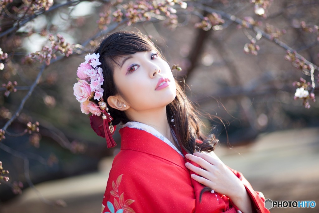桜