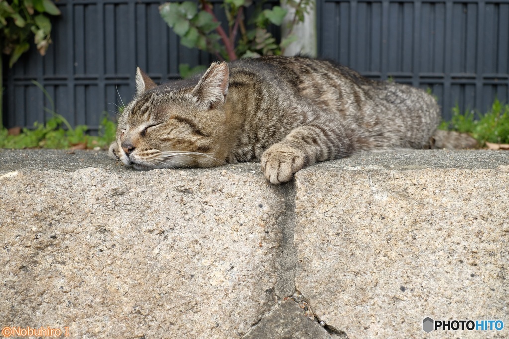 アゴをすりすり