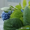 恵みを受けて