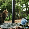 暮らし廻る