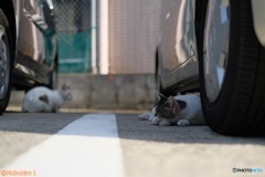 静かな時間