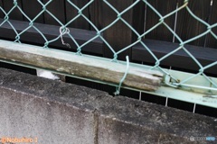確認