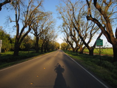 City of Davis