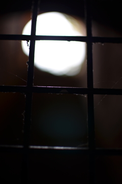 To the Light