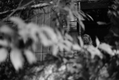 705_4278_00006