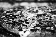IMG_6050