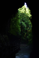 705_4362_00007