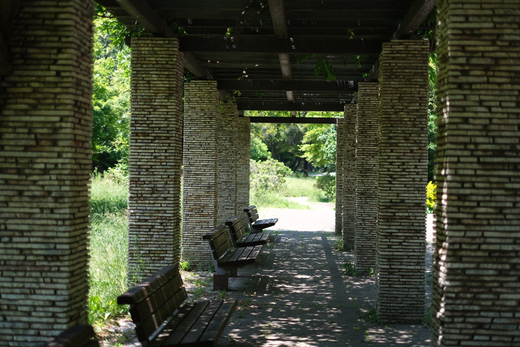 2019/05/26 昭和記念公園