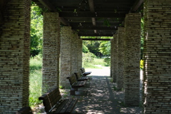 2019/05/26 昭和記念公園