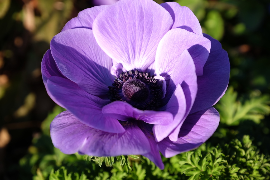 61090EC5-DB97-4775-966E-24978322BA21