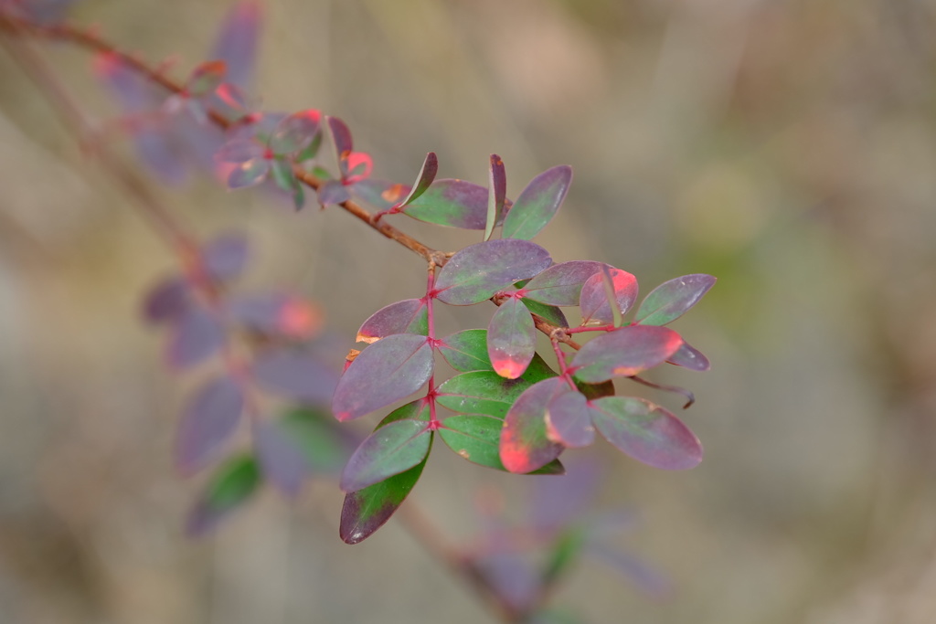 3BDE16B5-0270-41B8-9080-134B48D09C48