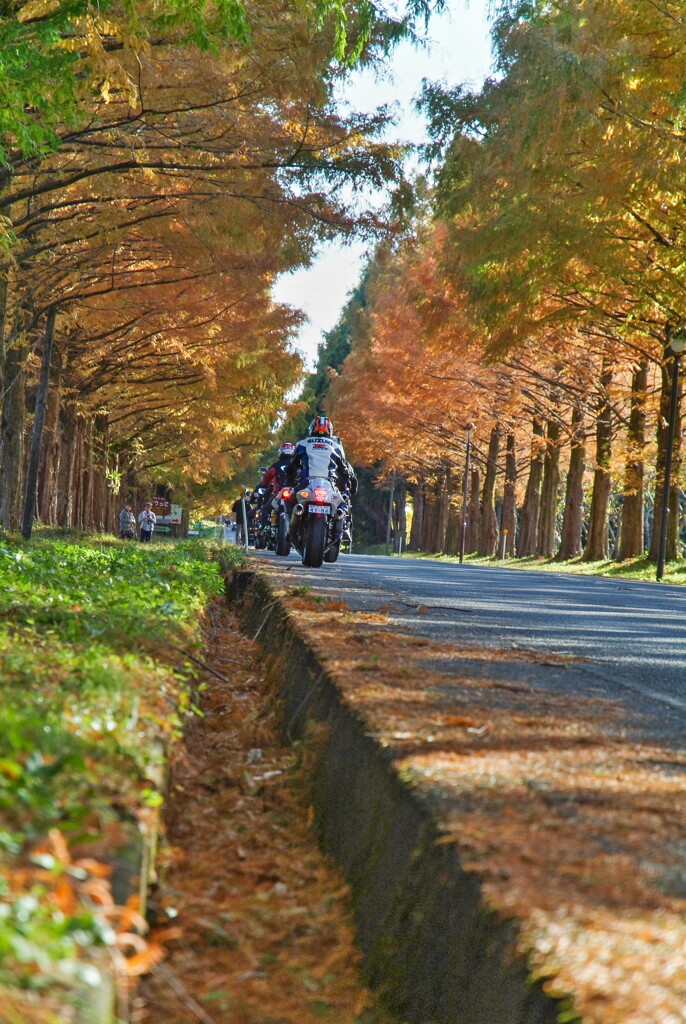 滋賀の風景