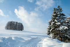 北海道の風景