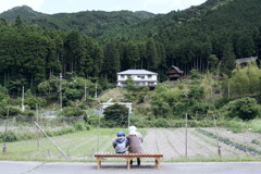 かかしのいる風景