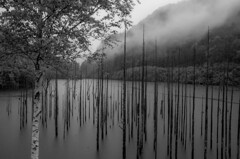 長野の風景