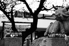 愛知の風景