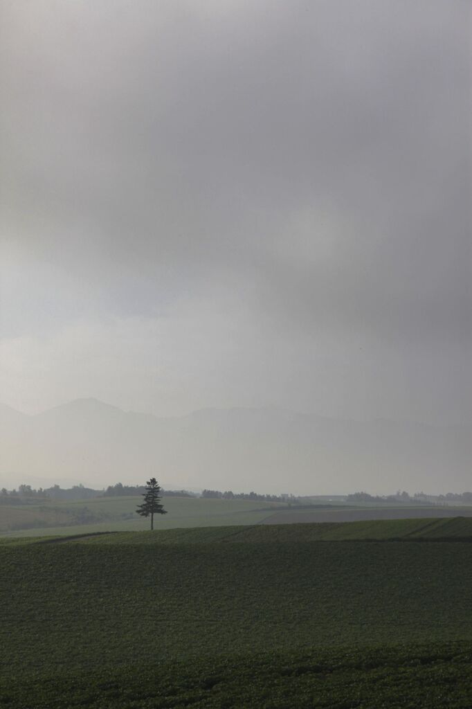 北海道の風景