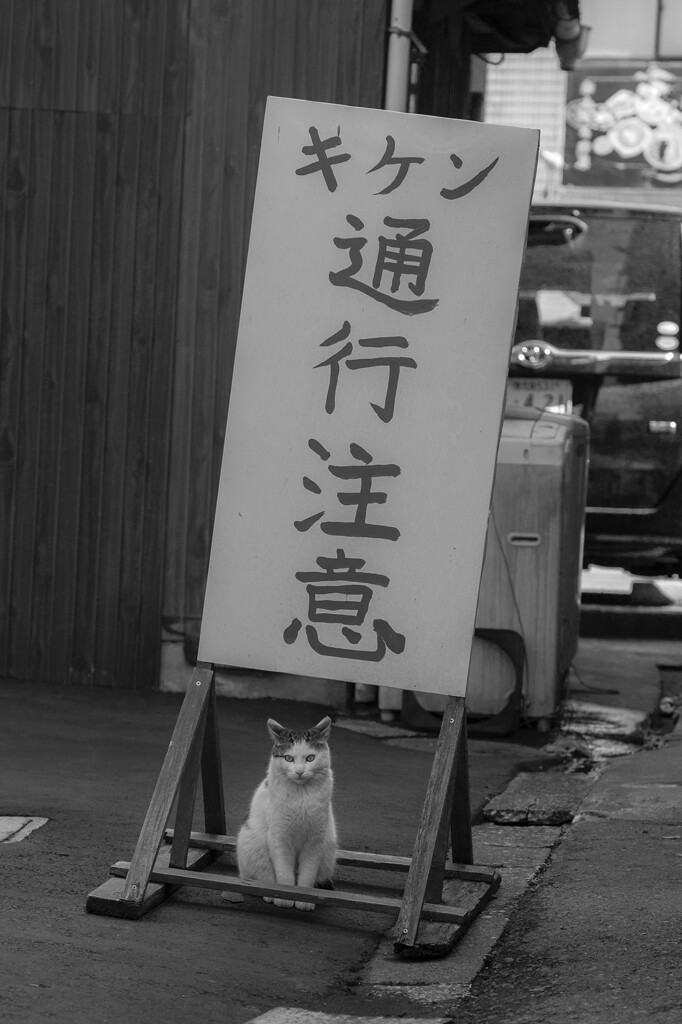 君の名は。